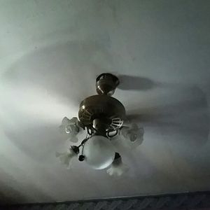 Meet your Posher, Sandy