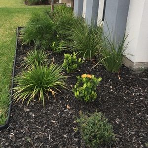 Meet your Posher, Mayra