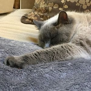 Meet your Posher, Connie