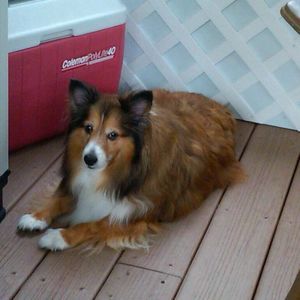 Meet your Posher, Gianna