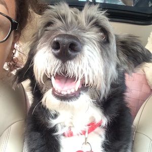 Meet your Posher, Eddie