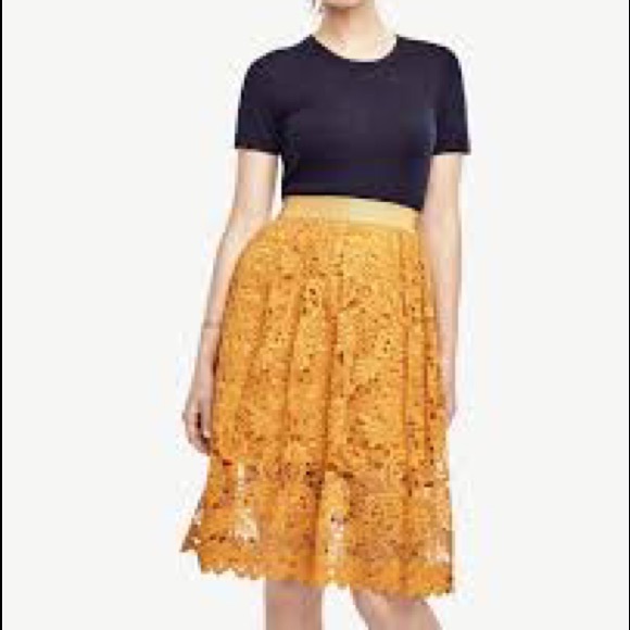 Ann taylor skirt