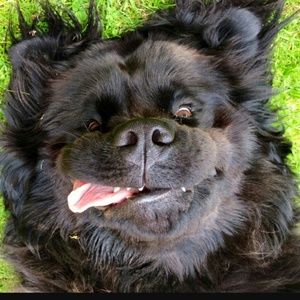 Meet your Posher, Janell