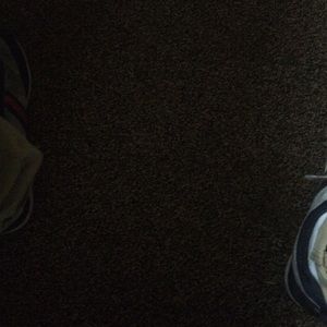 Meet your Posher, Arran