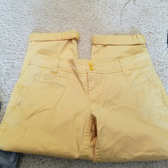 Mustard colored yellow crops