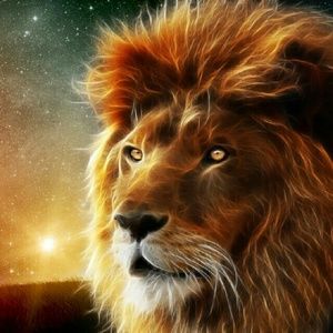 Meet your Posher, Leander