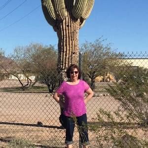 Meet your Posher, Judy