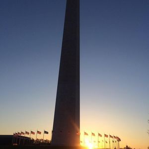 Meet your Posher, Colette