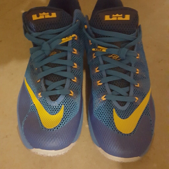 Lebrons - Picture 3 of 3