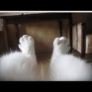 Meet your Posher, Nataliya