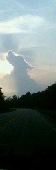 Meet your Posher, Mj - Picture 1 of 1