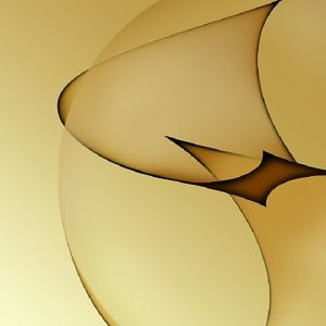 Meet your Posher, Dovie