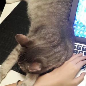 Meet your Posher, Zhuo xin