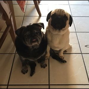 Meet your Posher, Lisa