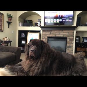 Meet your Posher, Blake