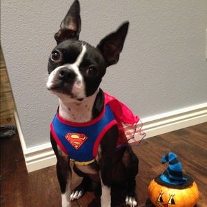 Meet your Posher, Kinga