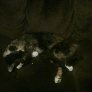 Meet your Posher, Danielle