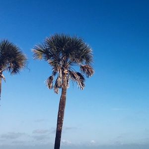 Meet your Posher, Skye