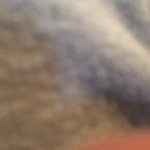 Meet your Posher, Jay