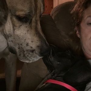 Meet your Posher, Dawn