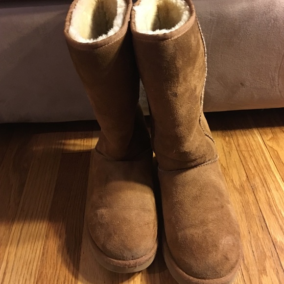 UGG Shoes - Tall Uggs