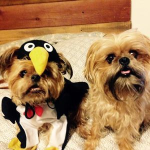 Meet your Posher, Melinda