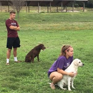 Meet your Posher, Reagan