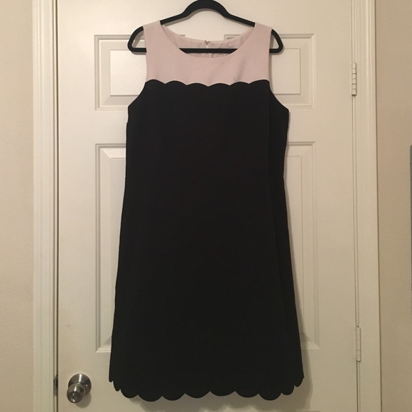 Loft Black and Cream Dress