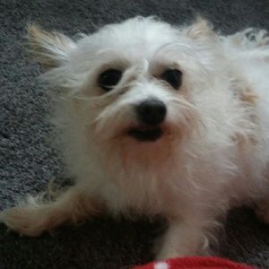 Meet your Posher, Fatima