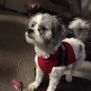 Meet your Posher, Brenda