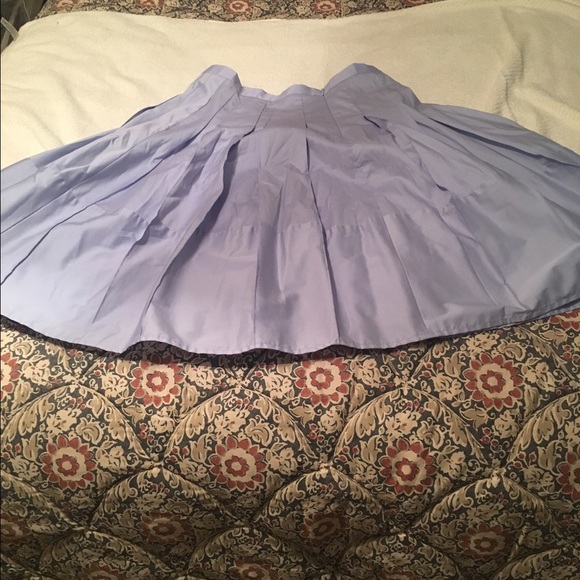 Ann taylor skirt