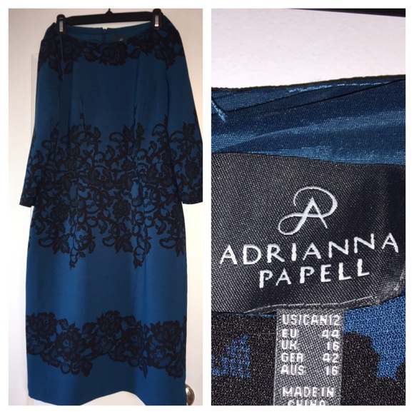Elegant knee length Adrianna Papell dress.
