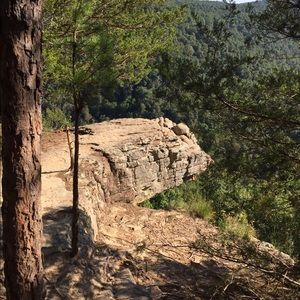 Meet your Posher, Luke