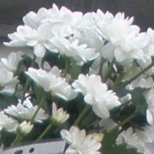 Meet your Posher, Marina