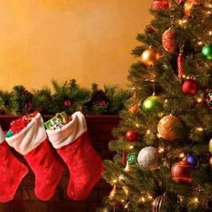 Meet your Posher, Frank