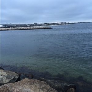 Meet your Posher, Harry