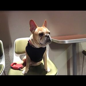 Meet your Posher, Amber