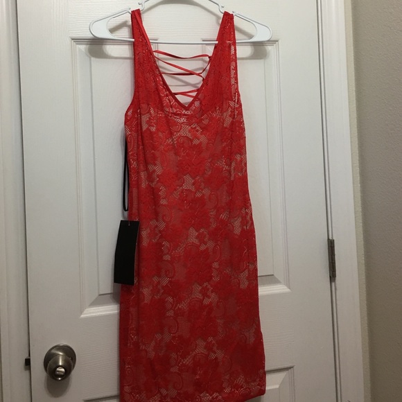 Orange lace Bebe dress - Picture 1 of 1