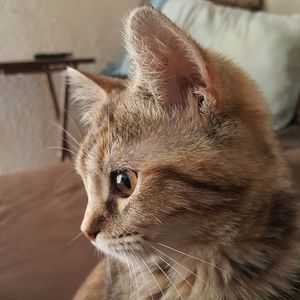 Meet your Posher, Janice