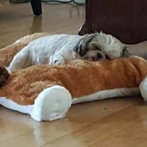 Meet your Posher, Bernadette