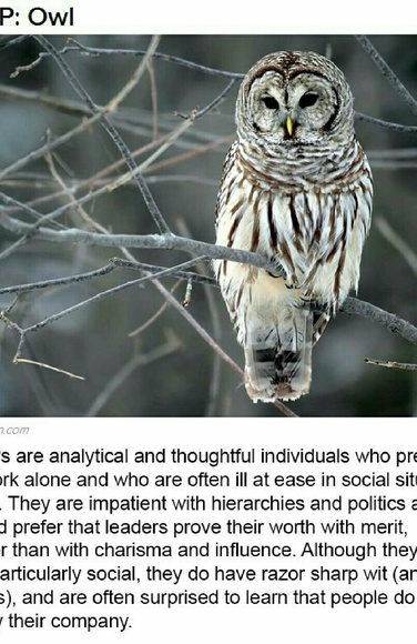 Meet your Posher, Deirdre