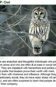 Meet your Posher, Deirdre