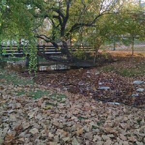 Meet your Posher, Andras