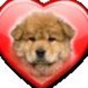 Meet your Posher, Dee