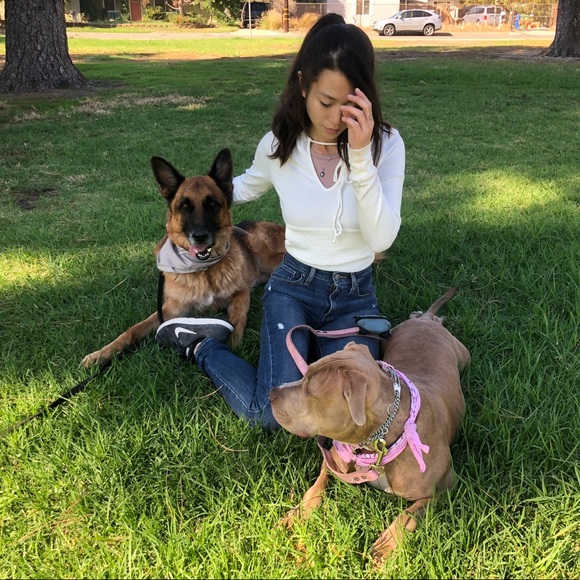 Meet your Posher, Arianna - Picture 3 of 3