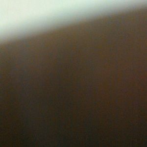 Meet your Posher, Teddy