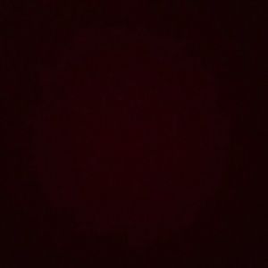 Meet your Posher, Shelby