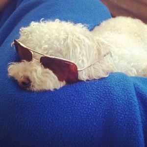 Meet your Posher, Maureen