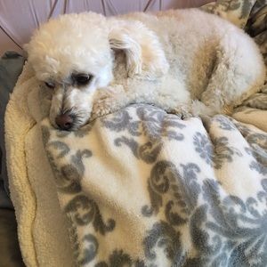 Meet your Posher, Joann