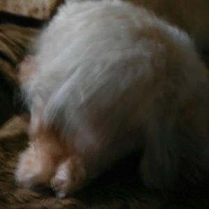 Meet your Posher, Jan